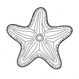 Starfish Coloring Pages