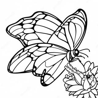 Monarch Butterfly Coloring Pages