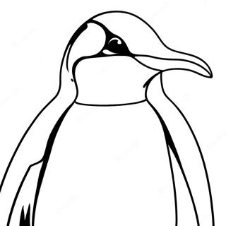 Emperor Penguin Coloring Page 58242-46900