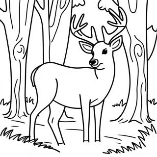 White Tailed Deer Coloring Pages