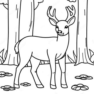 White Tailed Deer Standing In A Forest Coloring Page 58862-47382