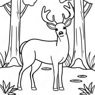 White Tailed Deer Standing In A Forest Coloring Page 58862-47383