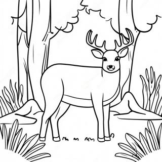 White Tailed Deer Standing In A Forest Coloring Page 58862-47384