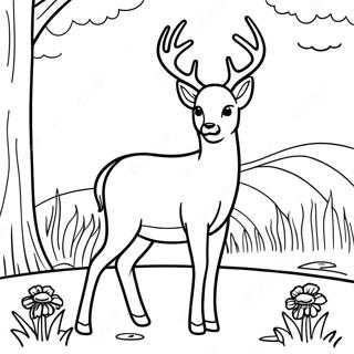 Majestic White Tailed Deer In A Meadow Coloring Page 58863-47391