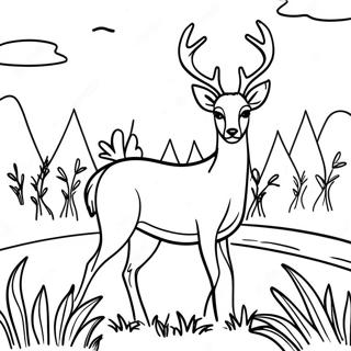 Majestic White Tailed Deer In A Meadow Coloring Page 58863-47392