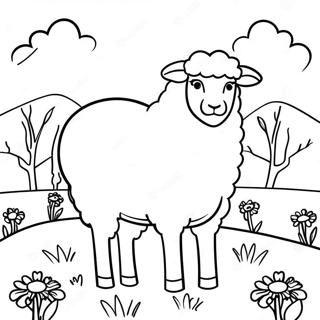 Realistic Sheep Coloring Pages