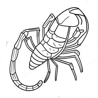 Elegant Scorpio Constellation Coloring Page 60353-48575