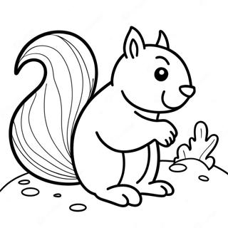 Squirrel For Adults Coloring Pages