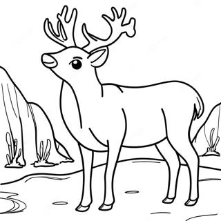 Mule Deer Coloring Pages