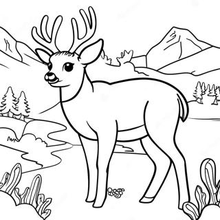 Mule Deer Coloring Page 61382-49383