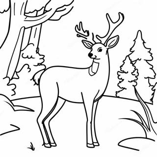 Mule Deer Coloring Page 61382-49384