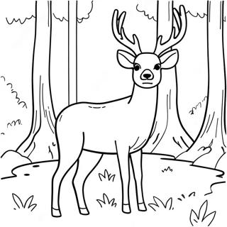 Majestic Mule Deer In Forest Coloring Page 61383-49386