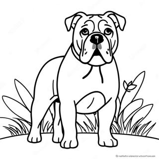 American Bulldog Coloring Pages