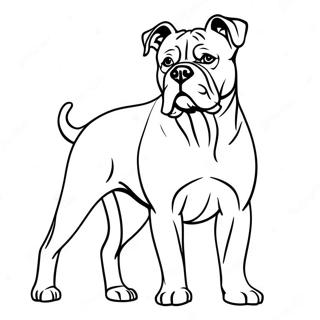 American Bulldog Standing Proud Coloring Page 61612-49562