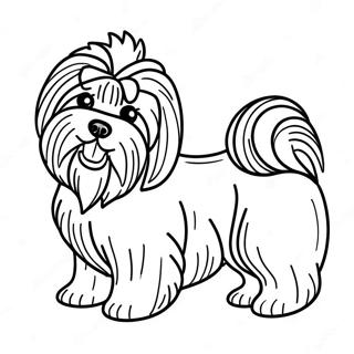 Havanese Dog Coloring Page 61802-49710