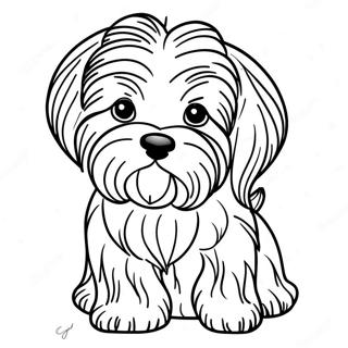 Havanese Dog Coloring Page 61802-49711