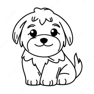 Havanese Coloring Pages