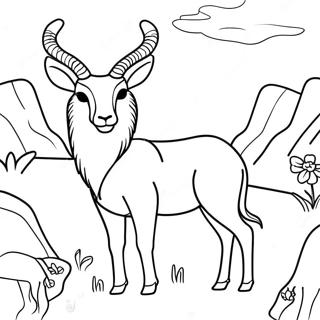 Antelope Coloring Pages