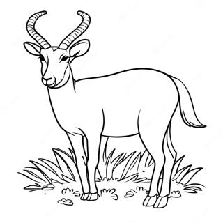 Antelope Coloring Page 62182-50014