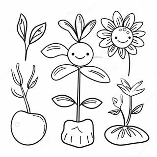 Plant Life Cycle Coloring Pages