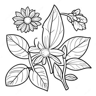 Vibrant Seed Germination Coloring Page 62303-50110