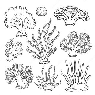 Algae Coloring Pages