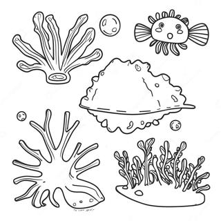 Algae Coloring Page 62852-50570