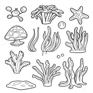 Algae Coloring Page 62852-50572