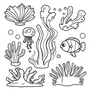 Algae Coloring Pages