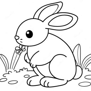 Rabbit For Adults Coloring Pages