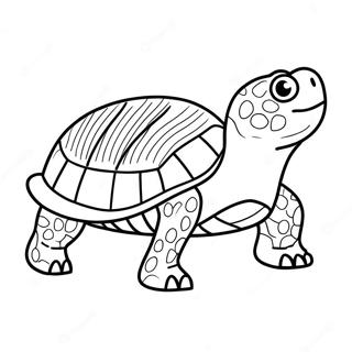 Snapping Turtle Coloring Page 65362-52546