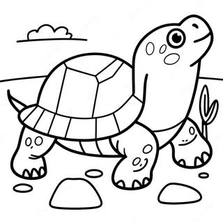 Snapping Turtle Coloring Page 65362-52547