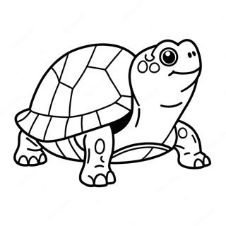 Snapping Turtle Coloring Page 65362-52548