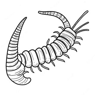 Centipede Coloring Page 65482-52640