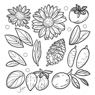 Seeds Coloring Page 65612-52739