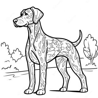 German Shorthaired Pointer Standing Proud Coloring Page 65662-52780