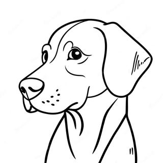 Weimaraner Dog Coloring Page 65972-53030