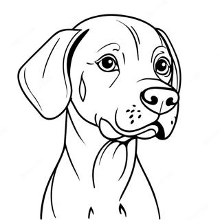 Weimaraner Dog Coloring Page 65972-53031