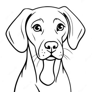 Weimaraner Dog Coloring Page 65972-53032