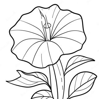 Morning Glory Flower Coloring Page 67412-54174