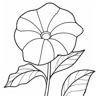 Morning Glory Flower Coloring Page 67412-54175