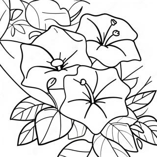 Beautiful Morning Glory Vine Coloring Page 67413-54179