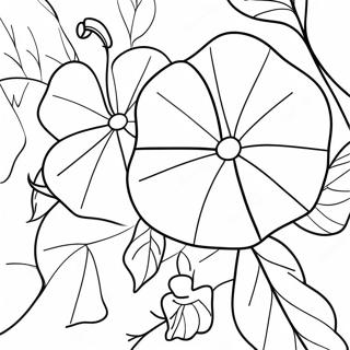 Beautiful Morning Glory Vine Coloring Page 67413-54180