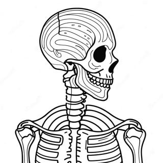 Label The Skeleton Coloring Pages