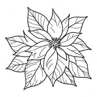 Poinsettia Flower Coloring Page 67852-54528