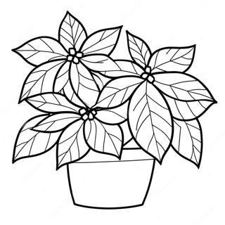 Beautiful Poinsettia Plant Coloring Page 67853-54541