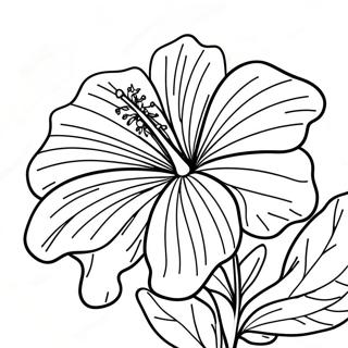 Hibiscus Flower Coloring Page 6991-5742