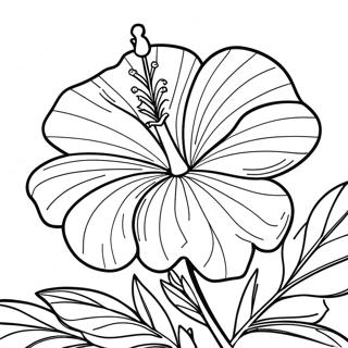 Hibiscus Flower Coloring Page 6991-5743