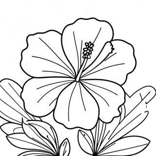 Hibiscus Flower Coloring Page 6991-5744