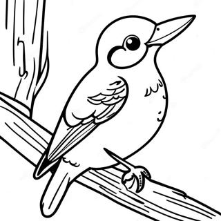 Woodpecker Coloring Pages